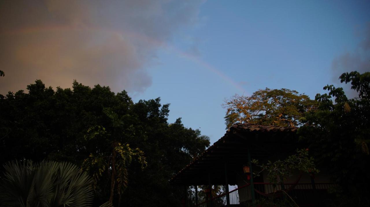 Finca La Argelia Quimbaya Exteriör bild