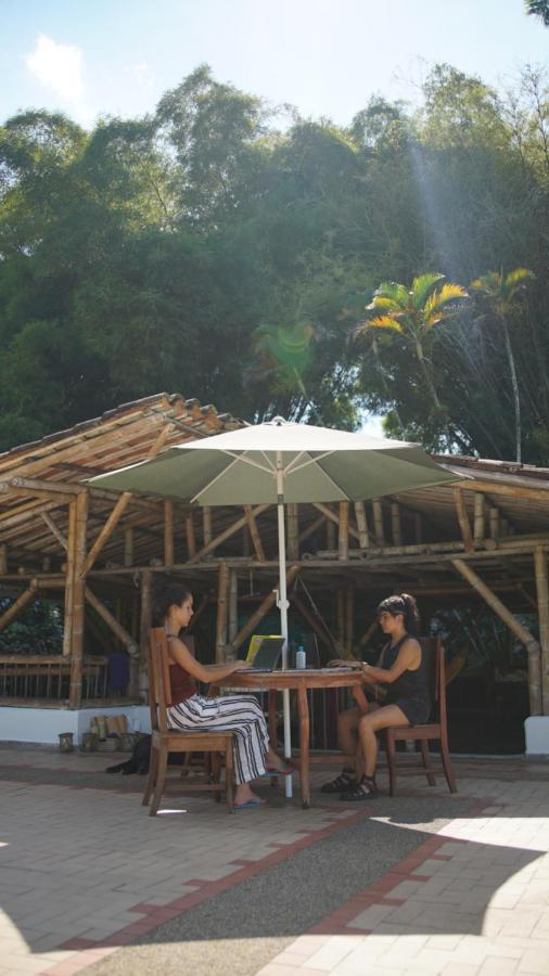 Finca La Argelia Quimbaya Exteriör bild