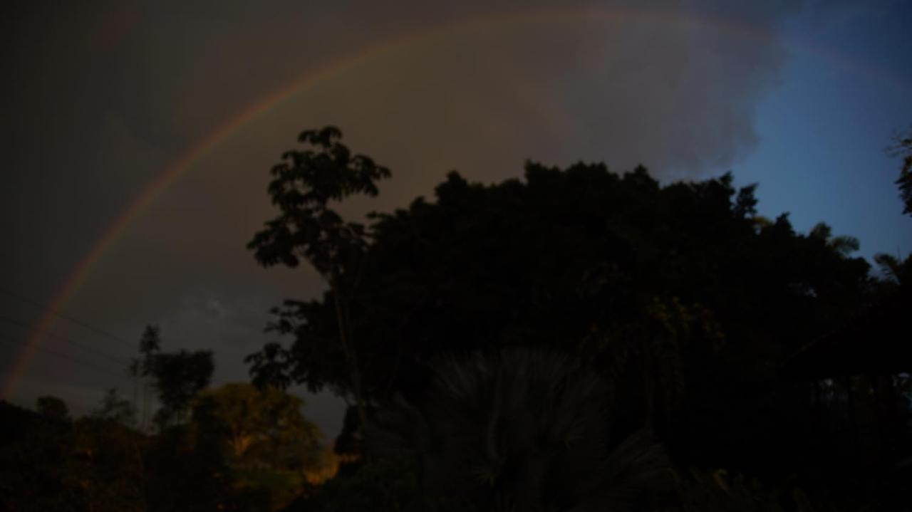 Finca La Argelia Quimbaya Exteriör bild
