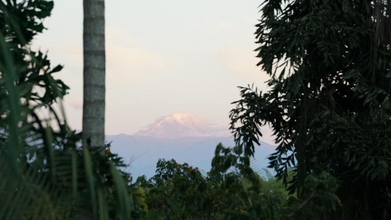 Finca La Argelia Quimbaya Exteriör bild
