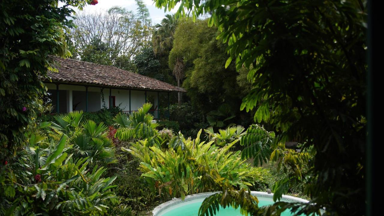 Finca La Argelia Quimbaya Exteriör bild