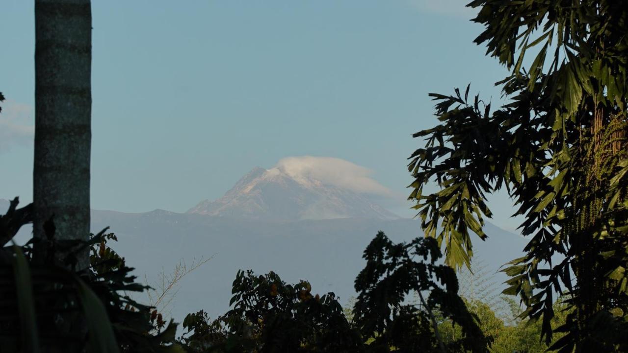 Finca La Argelia Quimbaya Exteriör bild