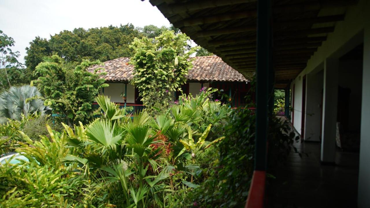 Finca La Argelia Quimbaya Exteriör bild