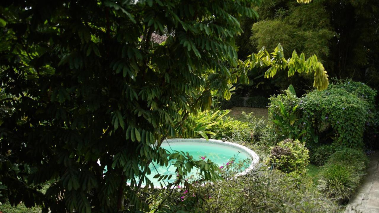 Finca La Argelia Quimbaya Exteriör bild